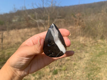 Charger l'image dans la galerie, Ammonite noire 3