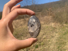 Charger l'image dans la galerie, VENDU Ammonite noire 4