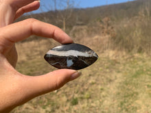 Charger l'image dans la galerie, VENDU Ammonite noire 6
