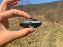 Charger l'image dans la galerie, Ammonite noire 7