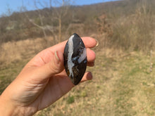 Charger l'image dans la galerie, Ammonite noire 7