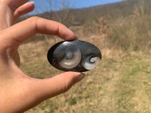 Charger l'image dans la galerie, VENDU Ammonite noire 8