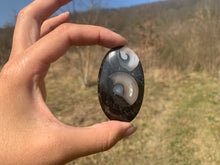 Charger l'image dans la galerie, VENDU Ammonite noire 8