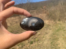Charger l'image dans la galerie, VENDU Ammonite noire 8