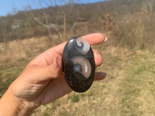 Charger l'image dans la galerie, VENDU Ammonite noire 8