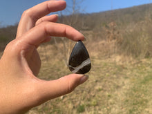 Charger l'image dans la galerie, VENDU Ammonite noire 11