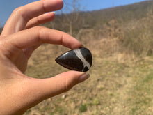 Charger l'image dans la galerie, VENDU Ammonite noire 11