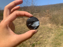 Charger l'image dans la galerie, VENDU Ammonite noire 12