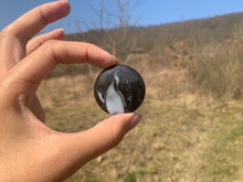 Charger l'image dans la galerie, VENDU Ammonite noire 12