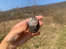 Charger l'image dans la galerie, VENDU Ammonite noire 13