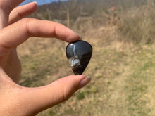 Charger l'image dans la galerie, Ammonite noire 14