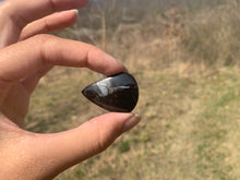 Charger l'image dans la galerie, Ammonite noire 14