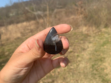 Charger l'image dans la galerie, Ammonite noire 14