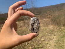 Charger l'image dans la galerie, Ammonite noire 15