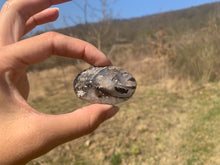 Charger l'image dans la galerie, Ammonite noire 15