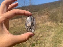 Charger l'image dans la galerie, Ammonite noire 15