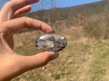 Charger l'image dans la galerie, Ammonite noire 15