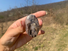 Charger l'image dans la galerie, Ammonite noire 15