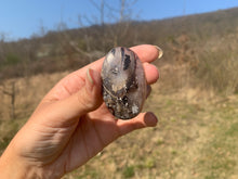 Charger l'image dans la galerie, Ammonite noire 15