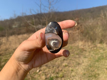 Charger l'image dans la galerie, VENDU Ammonite noire 16
