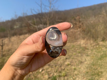 Charger l'image dans la galerie, VENDU Ammonite noire 16