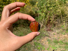 Charger l'image dans la galerie, Jaspe héliotrope 3