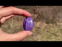 Charger et lire la vidéo dans la visionneuse de la Galerie, Charoïte 6