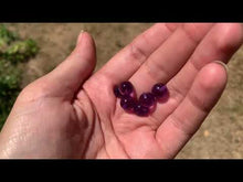 Charger et lire la vidéo dans la visionneuse de la Galerie, Perles en améthyste, semi-percées