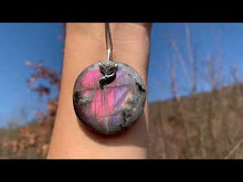 Charger et lire la vidéo dans la visionneuse de la Galerie, Bélière renard