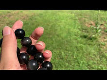 Charger et lire la vidéo dans la visionneuse de la Galerie, Perles en obsidienne oeil céleste (arc-en-ciel) entre 6 et 20mm