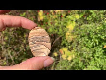 Charger et lire la vidéo dans la visionneuse de la Galerie, Jaspe Paysage 11