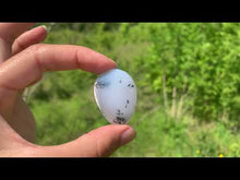 Charger et lire la vidéo dans la visionneuse de la Galerie, VENDU Agate dendritique 11