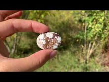 Charger et lire la vidéo dans la visionneuse de la Galerie, Magnésite Wild Horse 11