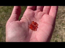 Charger et lire la vidéo dans la visionneuse de la Galerie, Perles en pierre de soleil non percées