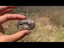 Charger et lire la vidéo dans la visionneuse de la Galerie, Ammonite noire 15