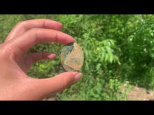 Charger et lire la vidéo dans la visionneuse de la Galerie, Rhyolite 5