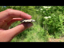 Charger et lire la vidéo dans la visionneuse de la Galerie, VENDU Jaspe Dalmatien 1