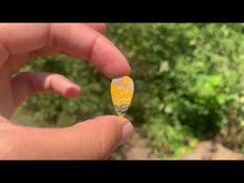 Charger et lire la vidéo dans la visionneuse de la Galerie, VENDU Jaspe Bumblebee 20