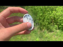 Charger et lire la vidéo dans la visionneuse de la Galerie, VENDU Agate dendritique 4