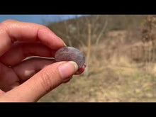 Charger et lire la vidéo dans la visionneuse de la Galerie, VENDU Quartz avec inclusions de tourmaline 3