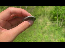 Charger et lire la vidéo dans la visionneuse de la Galerie, VENDU Agate dendritique 24