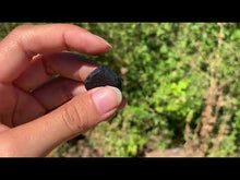 Charger et lire la vidéo dans la visionneuse de la Galerie, VENDU Tourmaline Noire Druzy 13