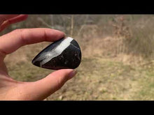 Charger et lire la vidéo dans la visionneuse de la Galerie, Ammonite noire 3