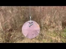 Charger et lire la vidéo dans la visionneuse de la Galerie, Bélière renard