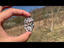 Charger et lire la vidéo dans la visionneuse de la Galerie, VENDU Astrophyllite 3