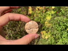 Charger et lire la vidéo dans la visionneuse de la Galerie, VENDU Jaspe Paysage 12