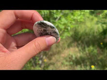 Charger et lire la vidéo dans la visionneuse de la Galerie, VENDU Agate Arbre 5