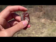 Charger et lire la vidéo dans la visionneuse de la Galerie, Agate Crazy Lace 2