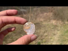 Charger et lire la vidéo dans la visionneuse de la Galerie, VENDU Ammonite 10