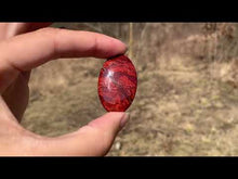 Charger et lire la vidéo dans la visionneuse de la Galerie, VENDU Jaspe peau de serpent 1